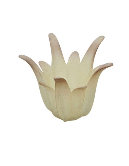 Tulipas Medusa de Cristal Beige