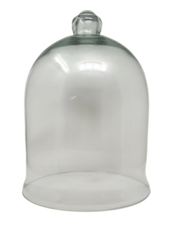 Tulipa Aceitera Transparente