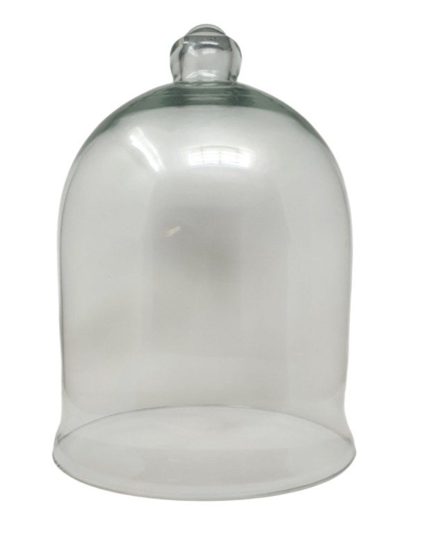 Tulipa Aceitera Transparente