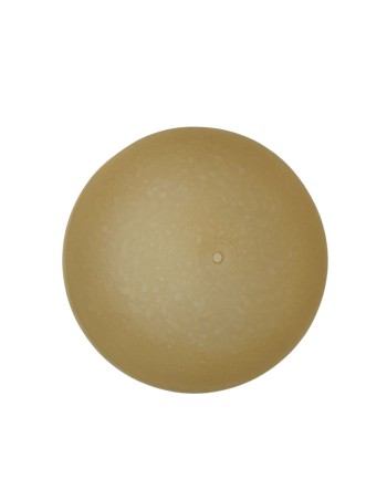 Plato de 40 Tangerino...