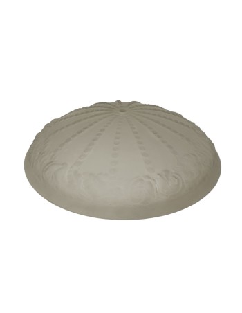 Plato de 40 Acido Piña con...