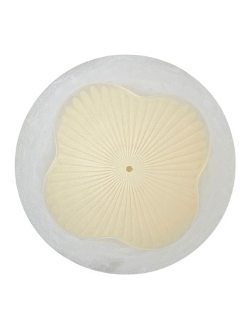 Plato de 50 Blanco Espiga