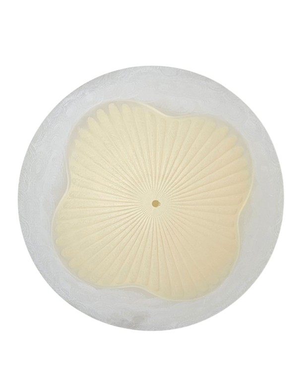 Plato de 50 Blanco Espiga