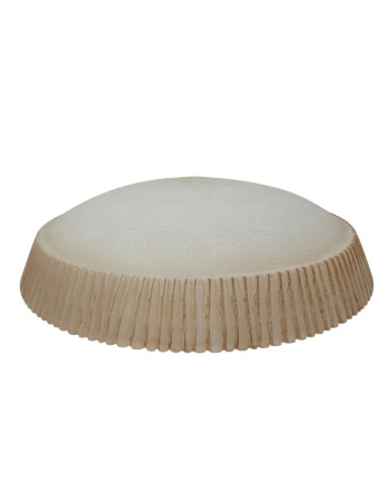 Tulipa Cristal Cuenco...