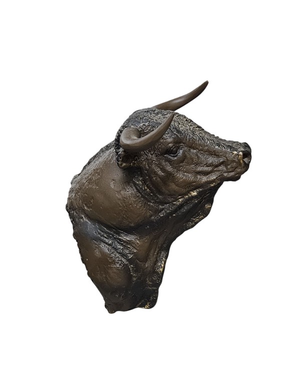 Esculturas Cabeza de Toro