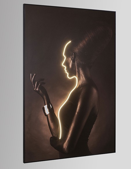 Silueta Cuadro Luz Led Schuller