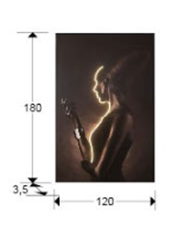 Silueta Cuadro Luz Led Schuller