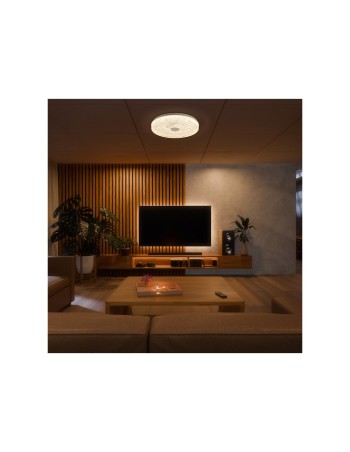 Plafón Frozen Mantra